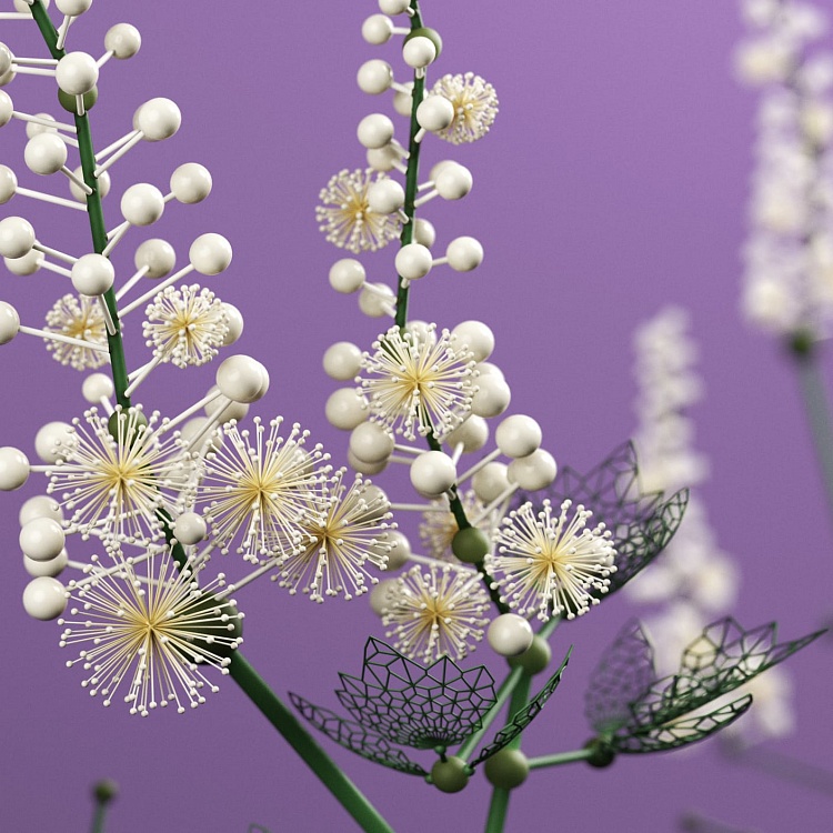 flordis medicine grown from science 3 img