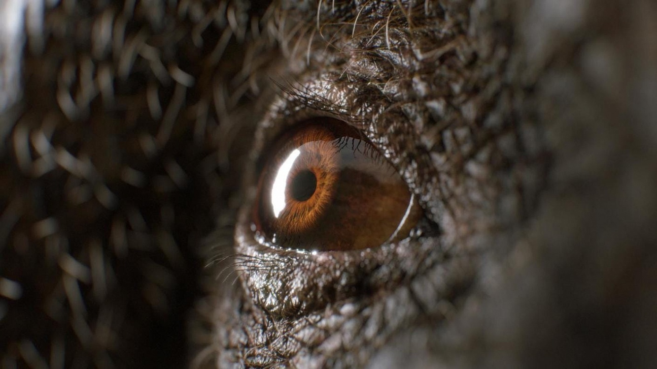 more than meets the eye 1 img