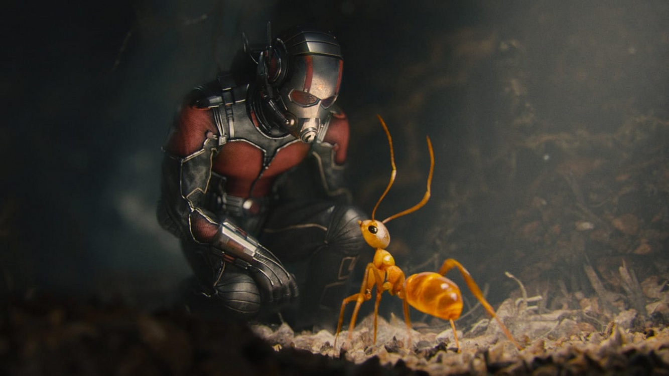 ant-man 1 img