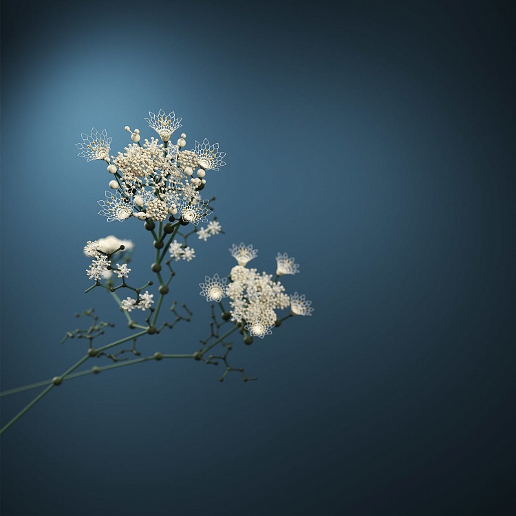 flordis medicine grown from science 1 img