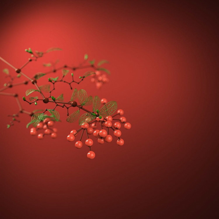 flordis medicine grown from science 2 img