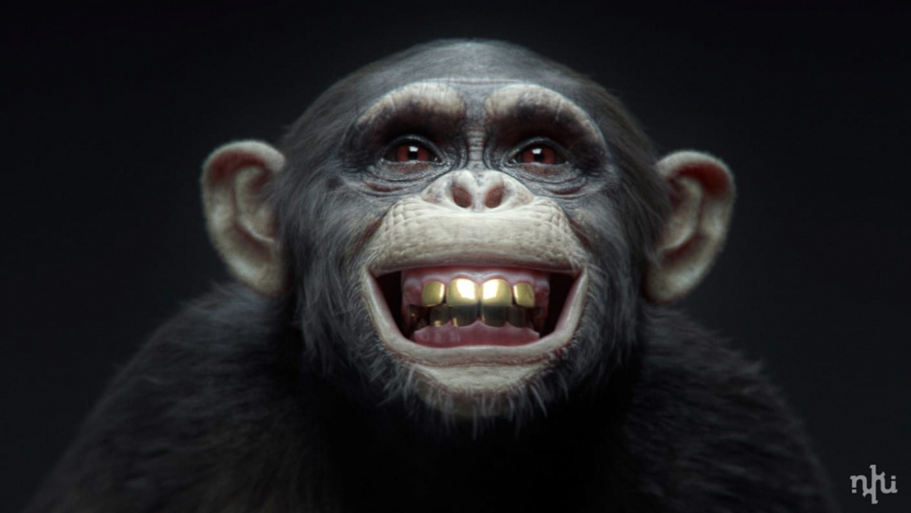 winimax monkeys 1 img