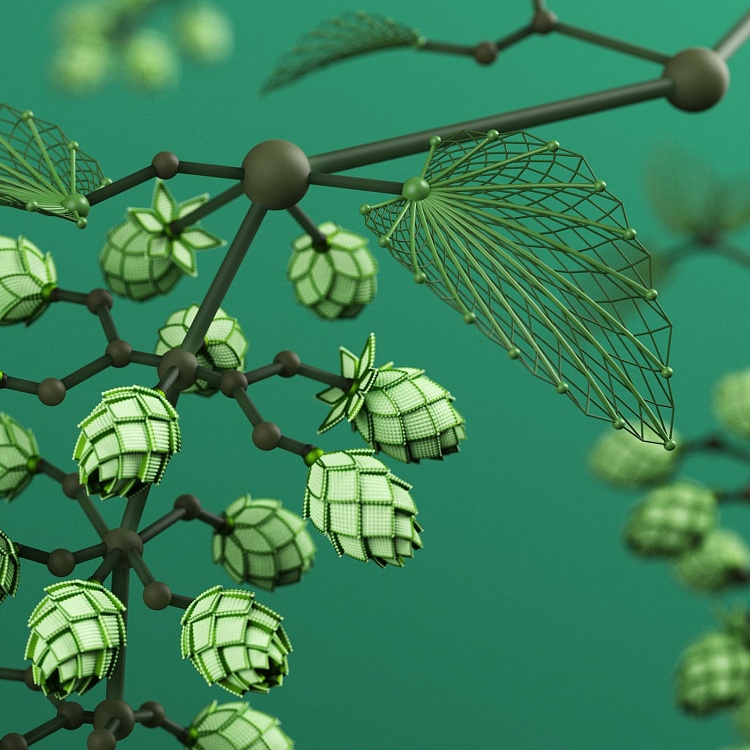 flordis medicine grown from science 4 img