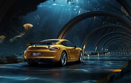 PORSCHE AQUARIUM