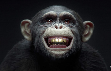 WINIMAX MONKEYS