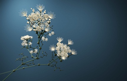 FLORDIS MEDICINE GROWN FROM SCIENCE